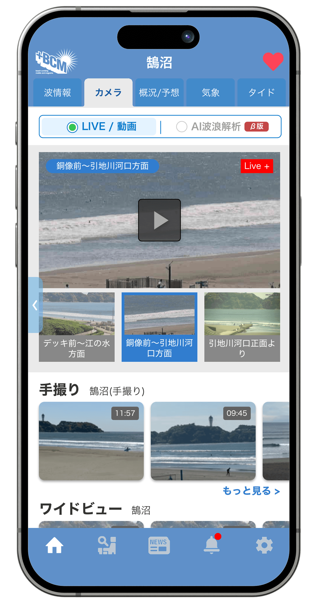 ライブ映像